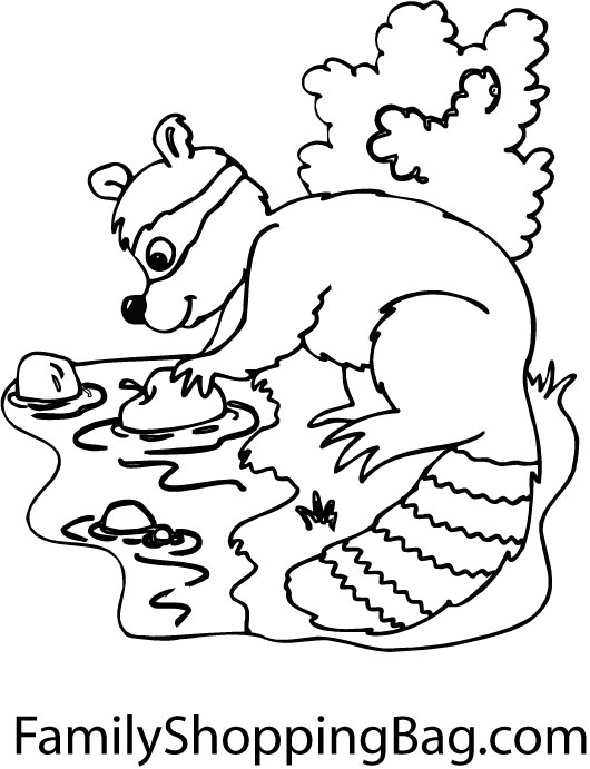 raccoon mask coloring pages - photo #22